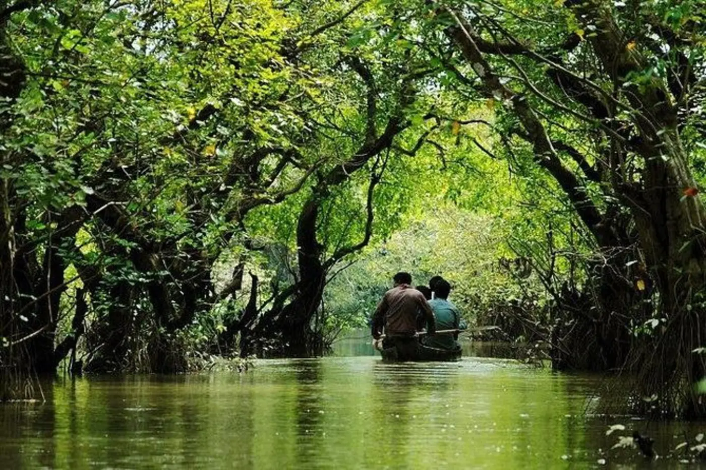 Sreemangal — photo 2